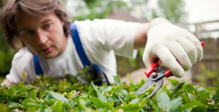 Landscaping: The Best Idea You’ve Ever Had - 开云
