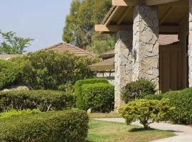 项目 画廊 - 开云