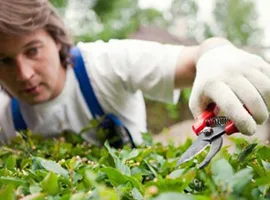 关于 Garden Hub - 开云