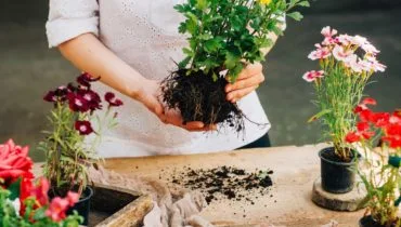 欢迎来到 GardenHub - 开云
